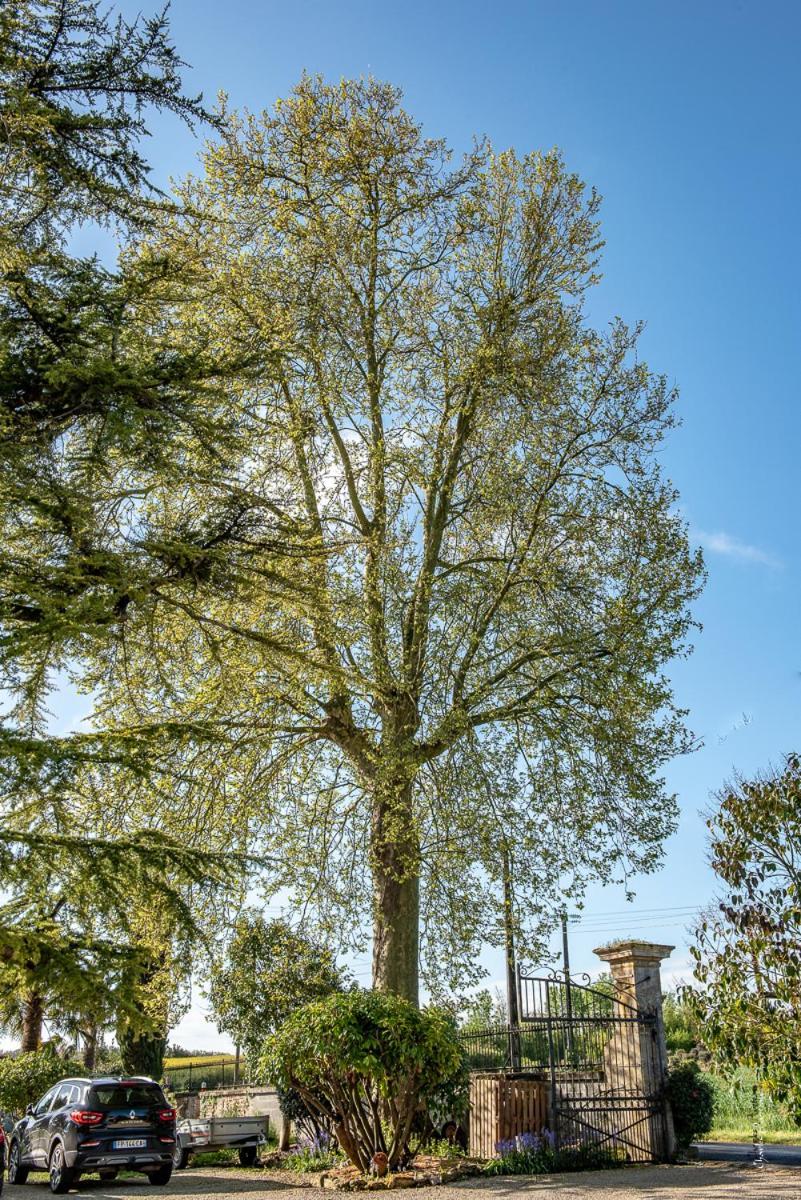 Escale Au Clos Saint Martin De Juillers Gites Et Chambres D'Hotes ภายนอก รูปภาพ